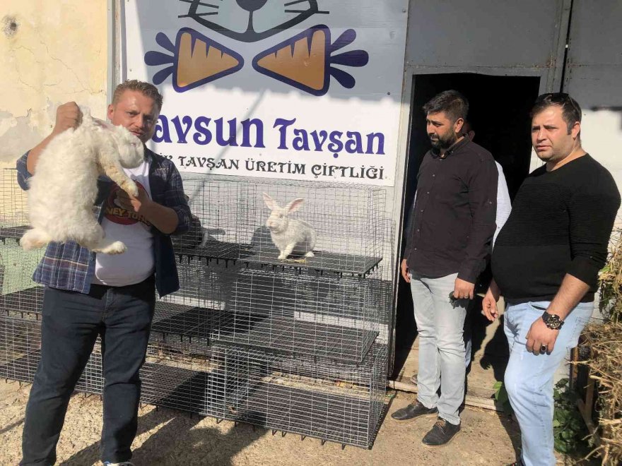 Adana'da tavşan sevgisi işe dönüştü: Ayda 10 bin lira kazanıyorlar