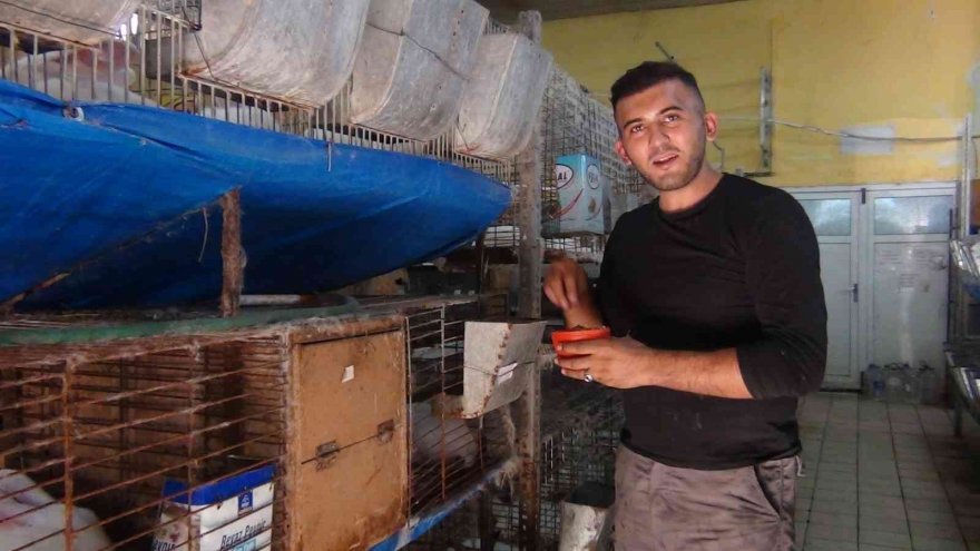 Adana'da tavşan sevgisi işe dönüştü: Ayda 10 bin lira kazanıyorlar