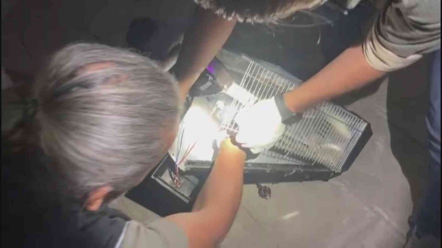 Elektrikli soba içerisinden 1 kilo 118 gram metamfetamin çıktı