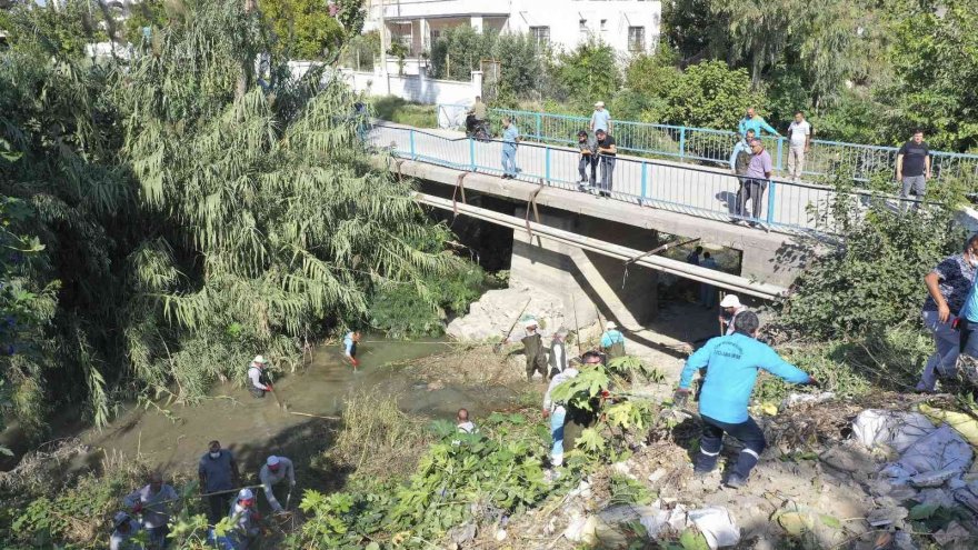 Yumurtalık Ayas Deresi sit alanında izinli temizlik