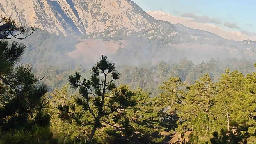 Feke'de orman yangını