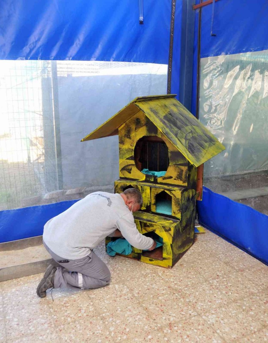 Hastanenin eski tekstil ürünleri hayvanlara yatak oluyor