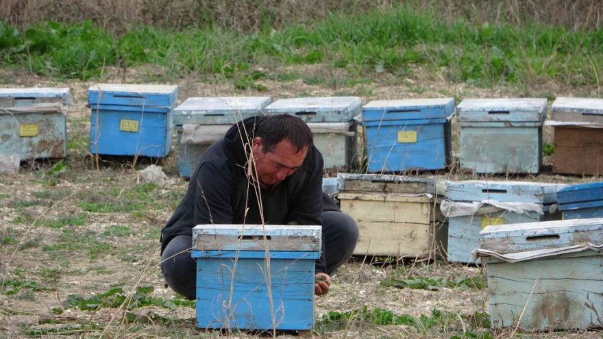 Adana’da binlerce arı telef oldu