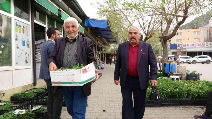 Günde 10 bin fide satılıyor: Vatandaş üretici oldu