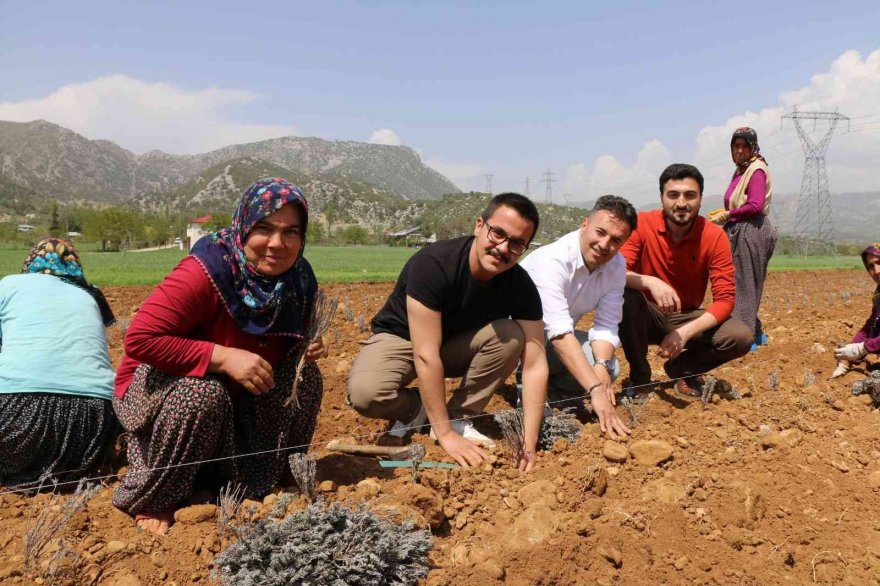Kadınlar dikiyor, Anadolu lavanta kokuyor
