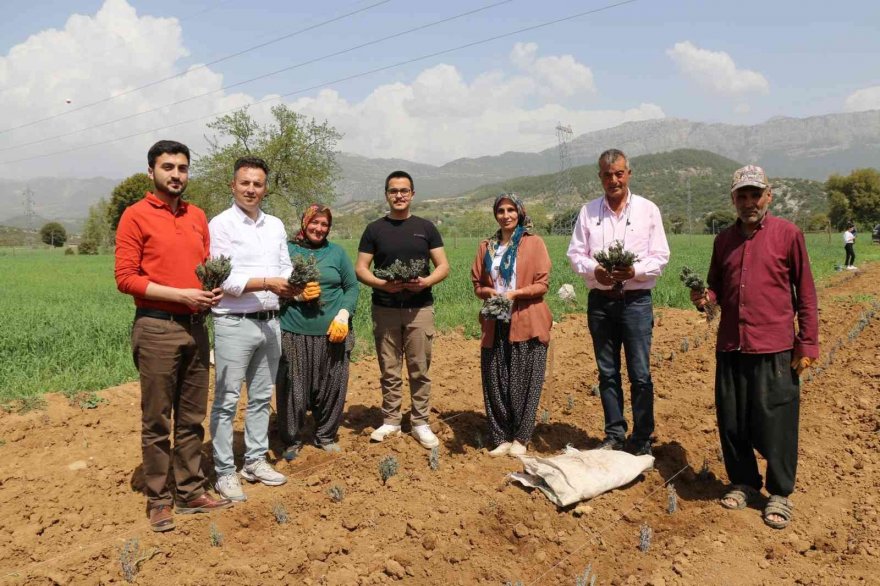 Kadınlar dikiyor, Anadolu lavanta kokuyor