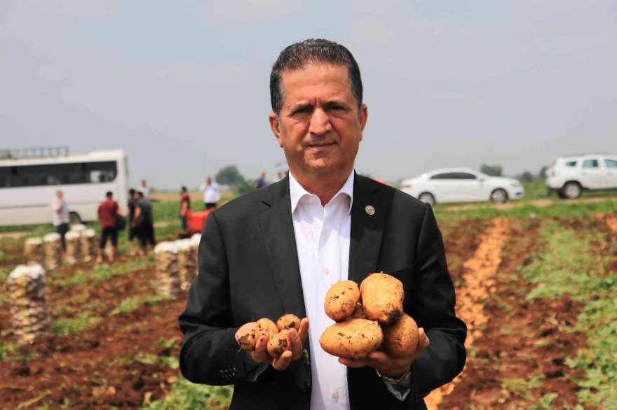 Patates üreticisinin yüzünü güldürdü