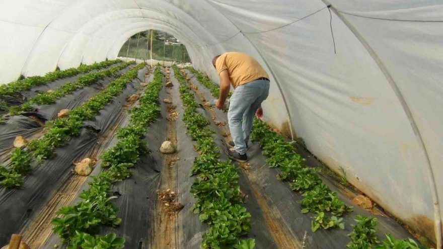 Adana’da 9 bin dekar arazi suya kavuşuyor