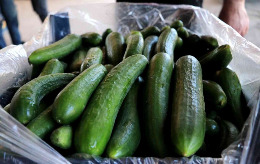 Doğan: Sebze ve meyve fiyatları yarı yarıya düşecek