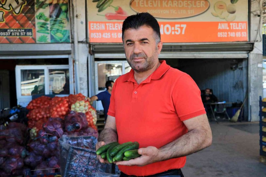 Doğan: Sebze ve meyve fiyatları yarı yarıya düşecek