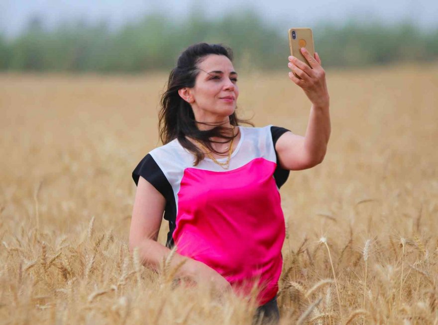 Adana’da buğday hasadı başladı