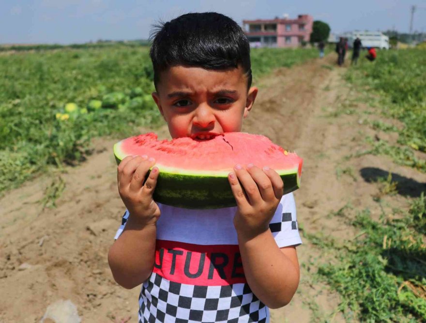 Turfanda karpuzun fiyatı değişmedi