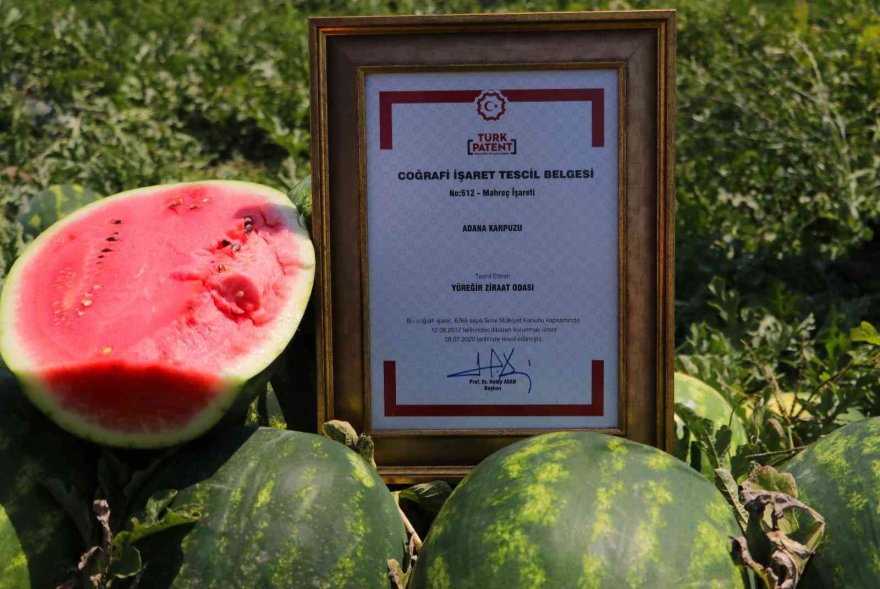 Turfanda karpuzun fiyatı değişmedi