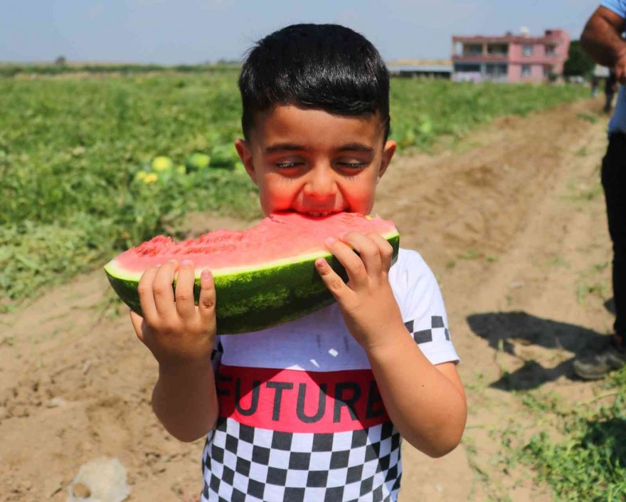 Turfanda karpuzun fiyatı değişmedi