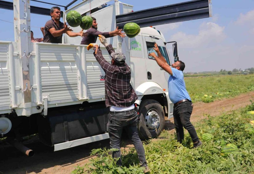 Turfanda karpuzun fiyatı değişmedi