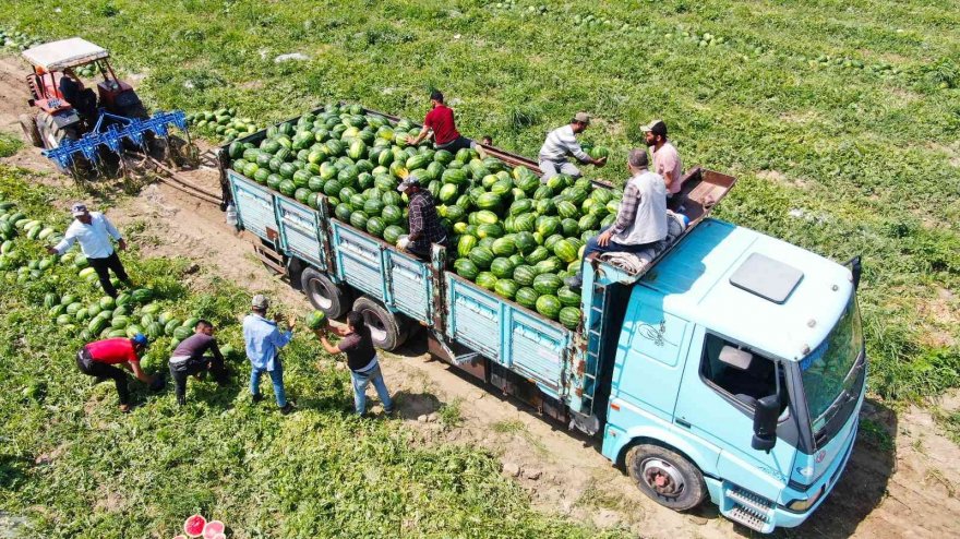 Turfanda karpuzun fiyatı değişmedi