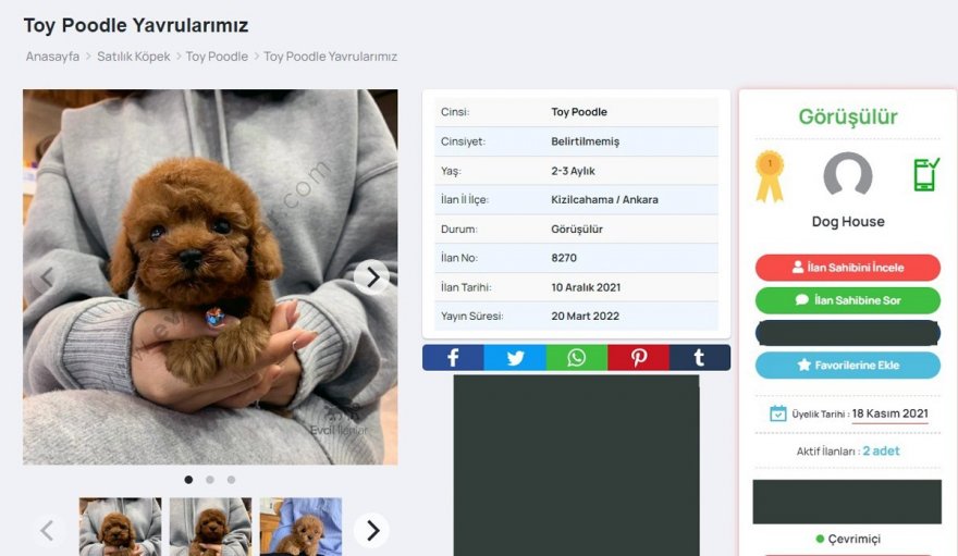 Adana’da “Pati 2” operasyonu