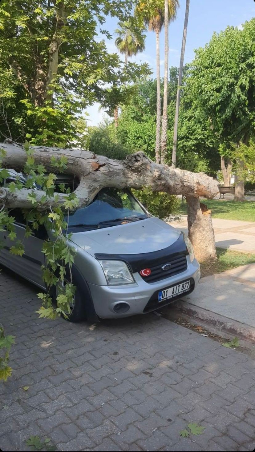 Ağaç park halindeki aracın üzerine devrildi