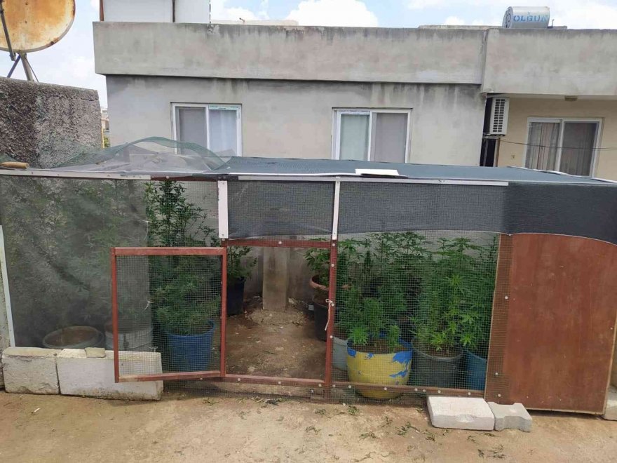 Torbacıların evine koç başlarıyla kapılar kırılıp girildi