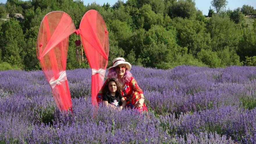 Mor tarlaların hanımağaları