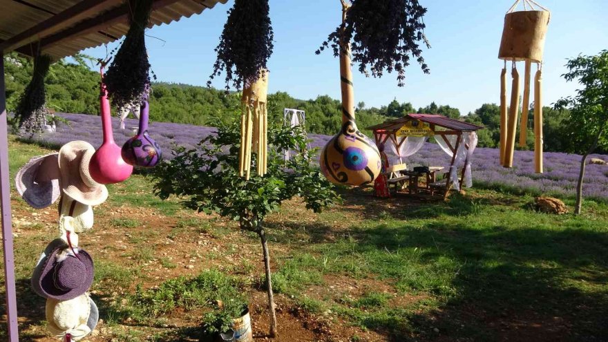 Mor tarlaların hanımağaları