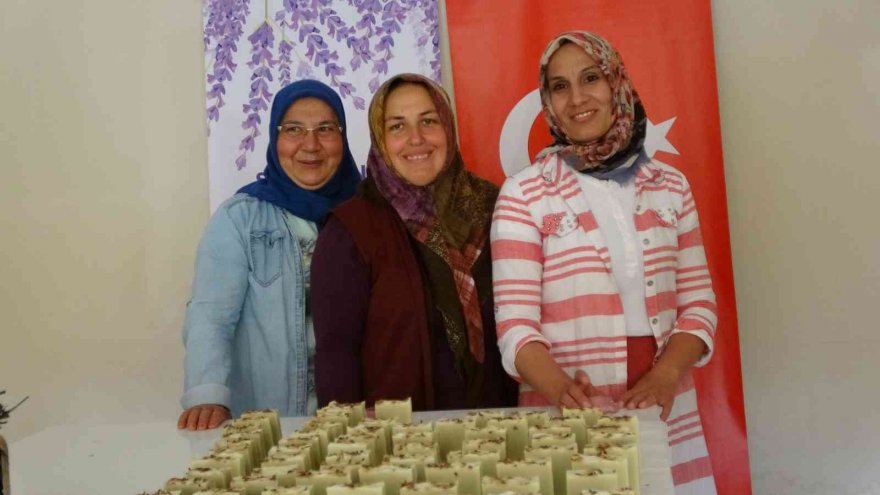 Mor tarlaların hanımağaları