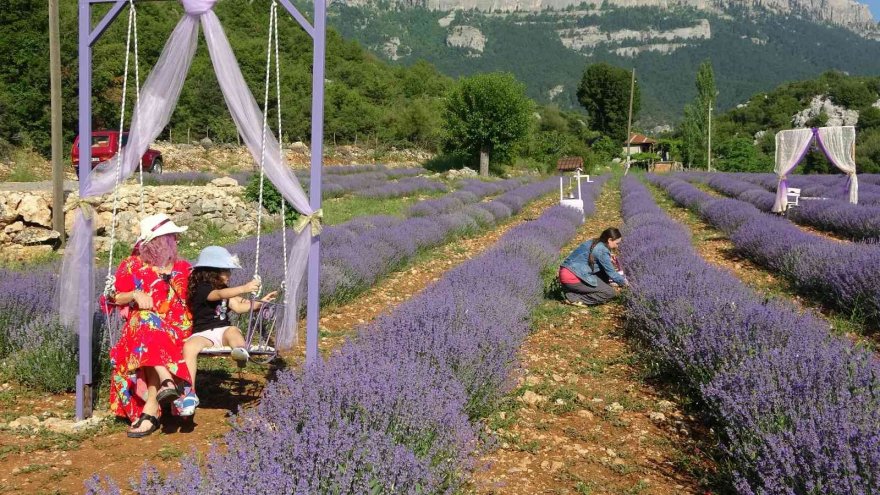 Mor tarlaların hanımağaları