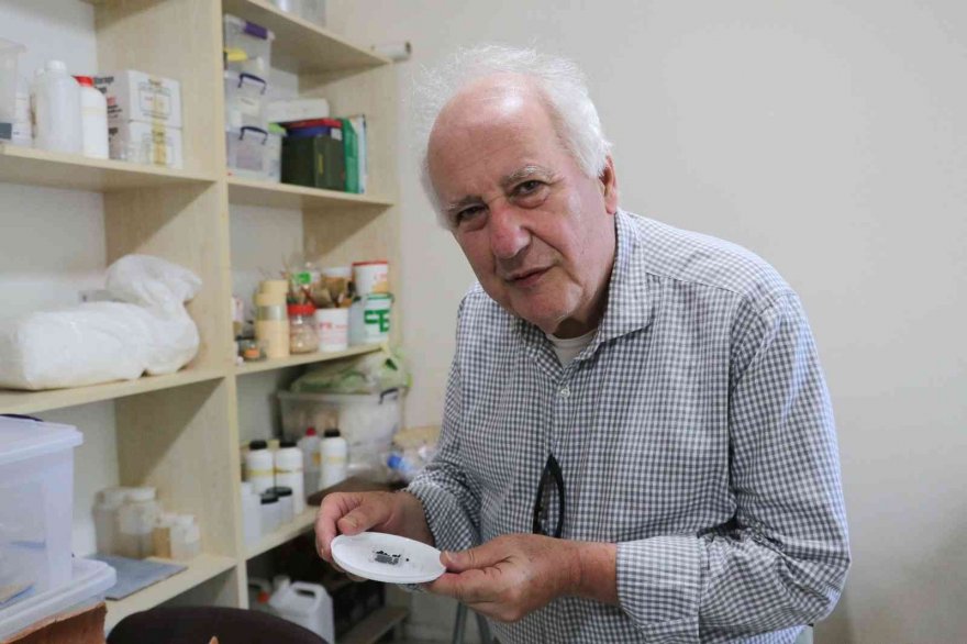 Adana’da 3 bin yıl öncesine ait tohumlar bulundu