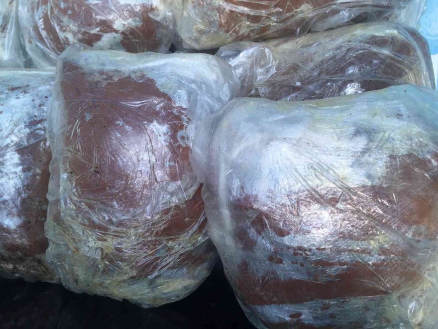 Kahve ile kamufle edilmiş 72 kilo esrar ele geçirildi