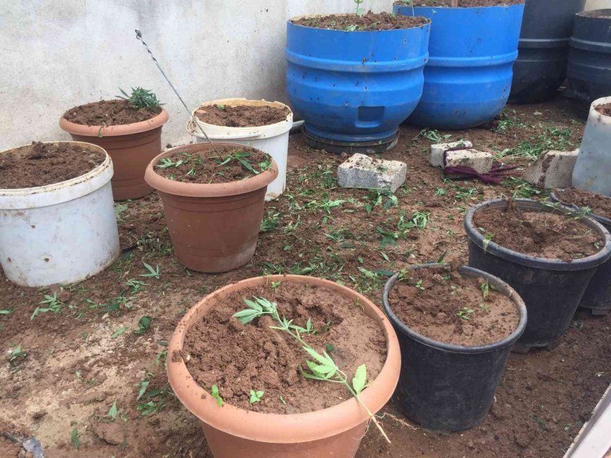 Operasyonda kapıyı açmayıp, polisi polise şikayet etmeye kalktı