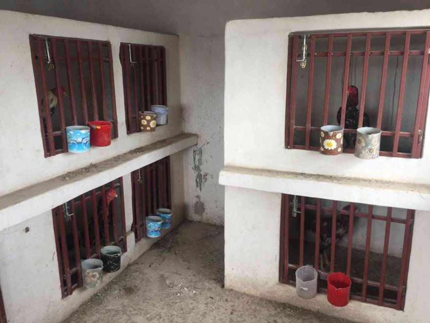 Operasyonda kapıyı açmayıp, polisi polise şikayet etmeye kalktı