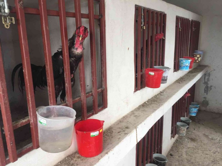 Operasyonda kapıyı açmayıp, polisi polise şikayet etmeye kalktı