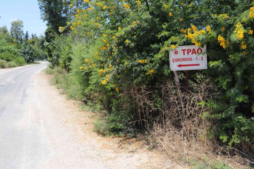 Adana’da bulunan petrol köylüleri sevindirdi