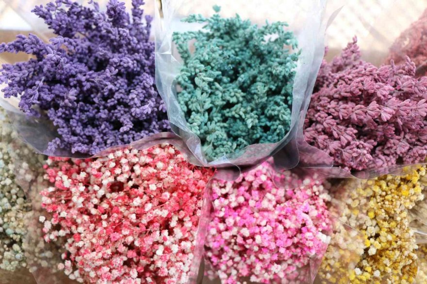 Kuru çiçekte ithalatı ihracata çevirdi