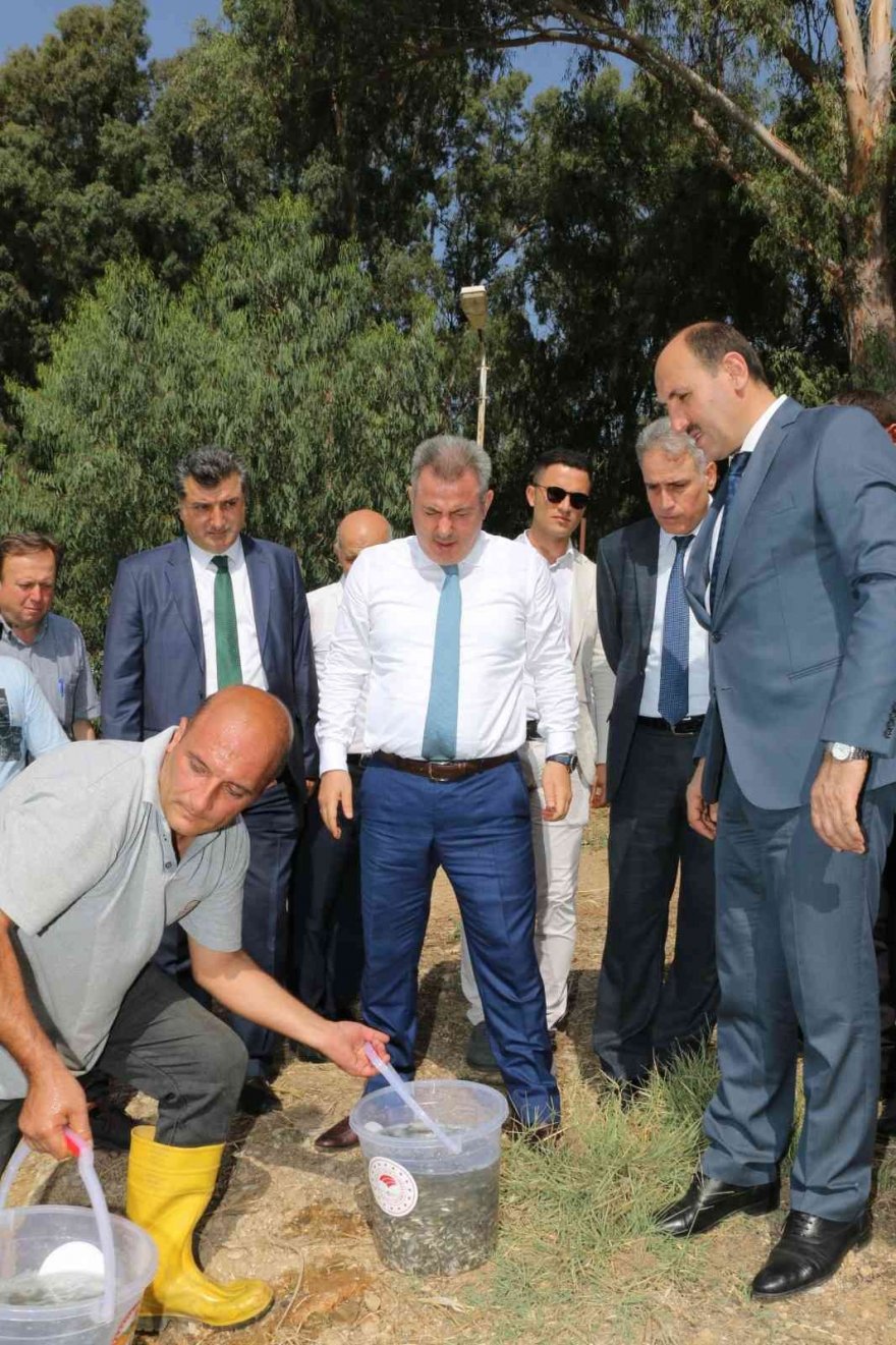 Vali Elban balık hasadına katıldı