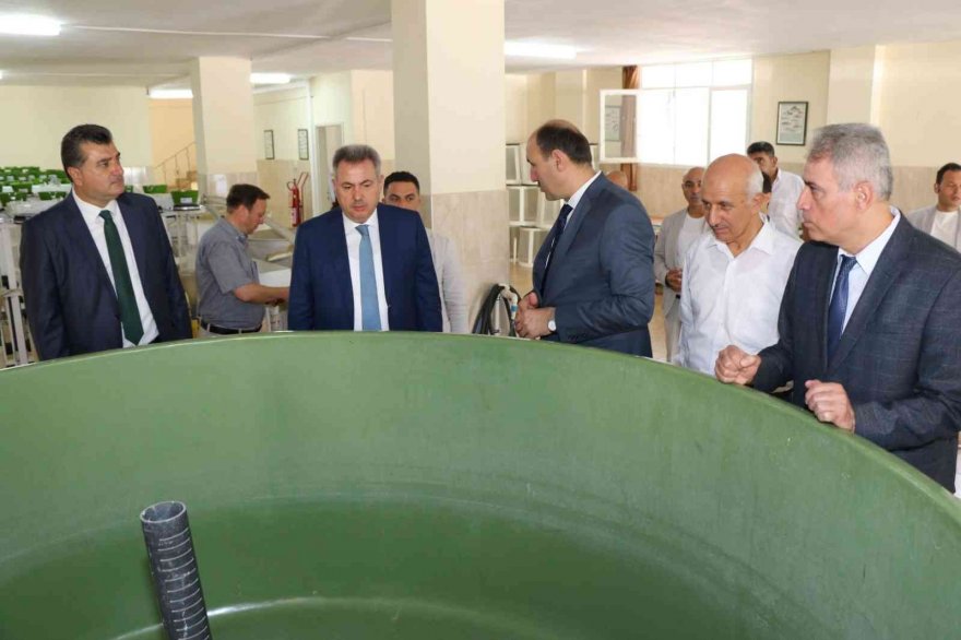 Vali Elban balık hasadına katıldı