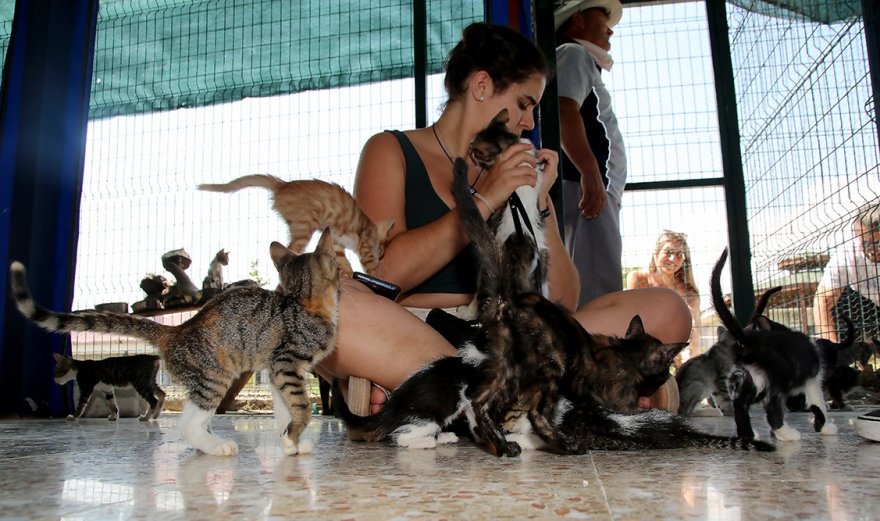Sokak Hayvanları Bakımevi’nden geri dönüşüme katkı