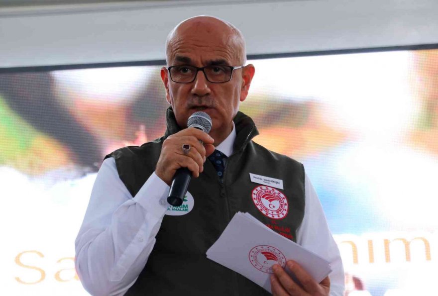 Bakan Kirişci biçerdövere binip pamuk hasat etti