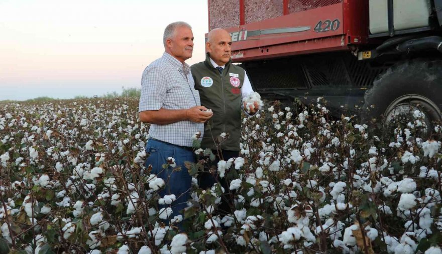 Bakan Kirişci biçerdövere binip pamuk hasat etti