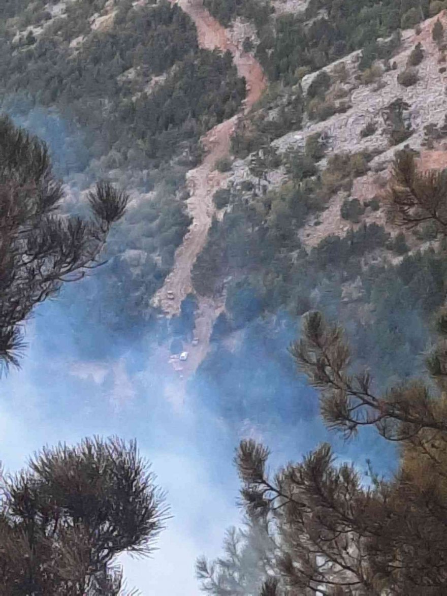 Feke’de orman yangını kontrol altına alındı