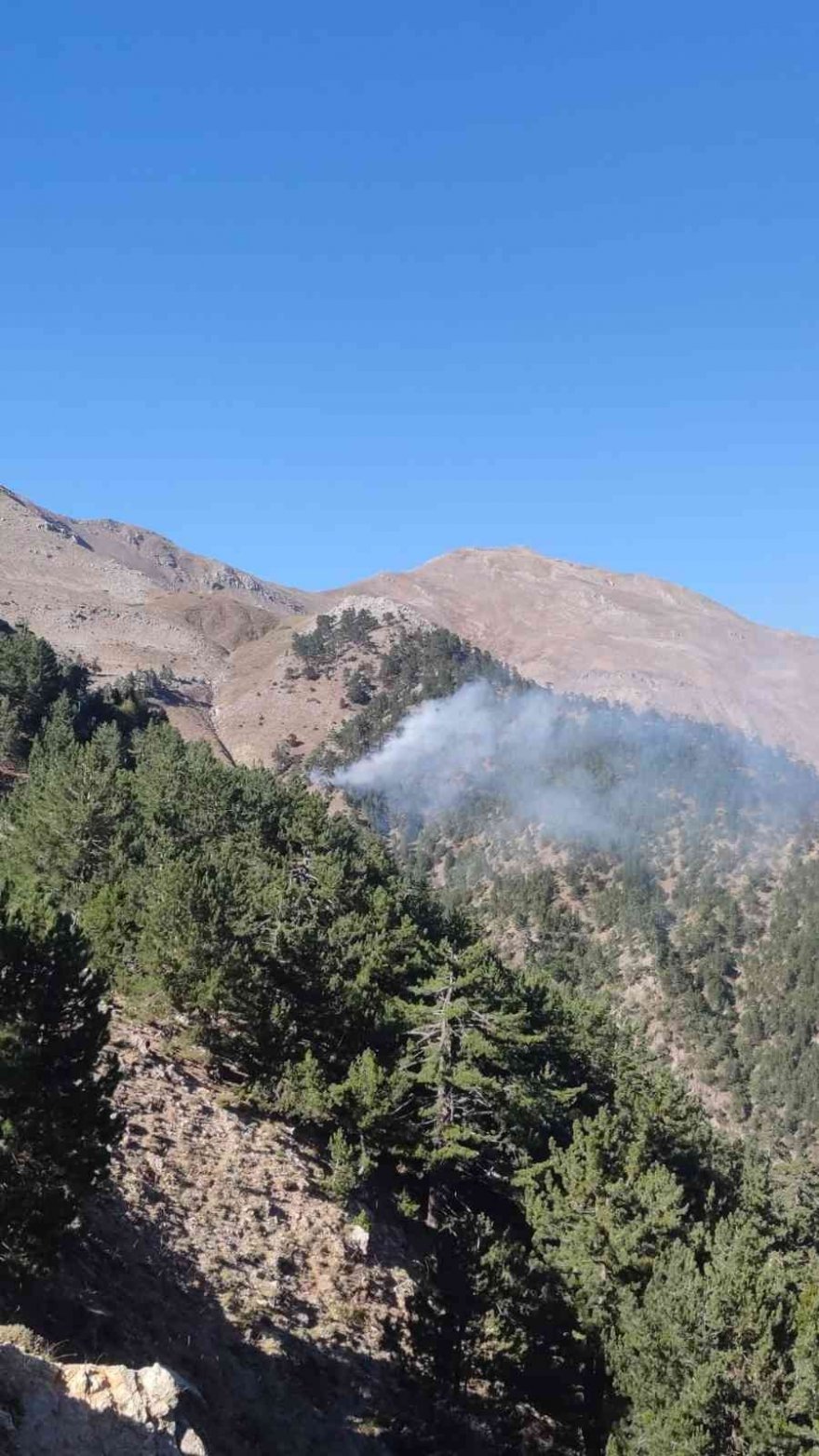 Feke’de orman yangını kontrol altına alındı