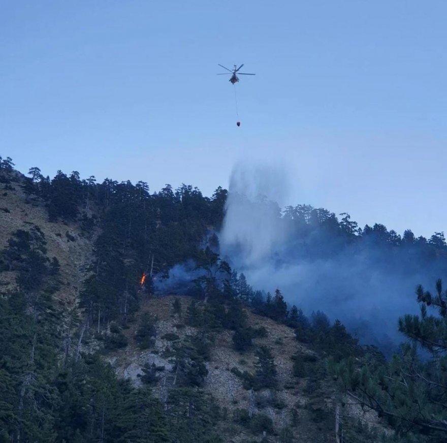 Feke’de orman yangını kontrol altına alındı