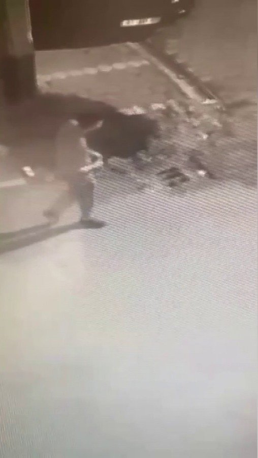 İlayda hemşirenin papağanını, telefon, tablet ve çantasını çaldılar