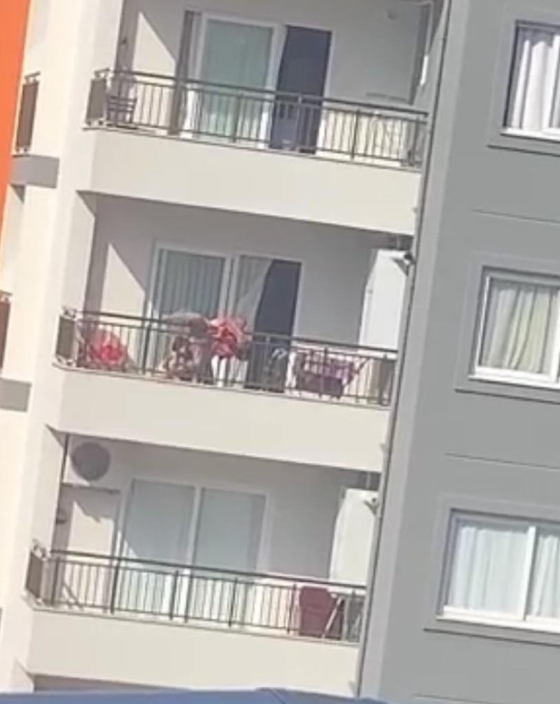 Annelerinin ölmemesi için ayağına sarılıp ağladılar