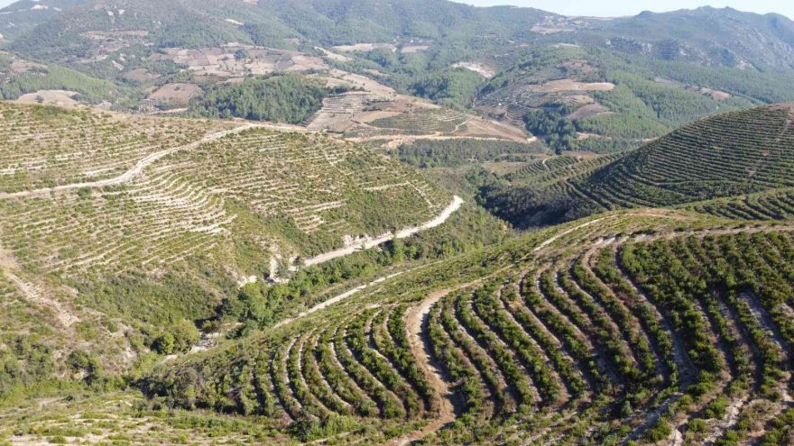 Yangının izleri silindi, afet evlerinde teslimat için geri sayım başladı