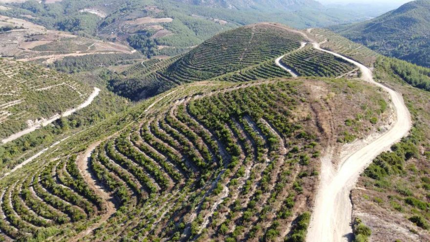Yangının izleri silindi, afet evlerinde teslimat için geri sayım başladı