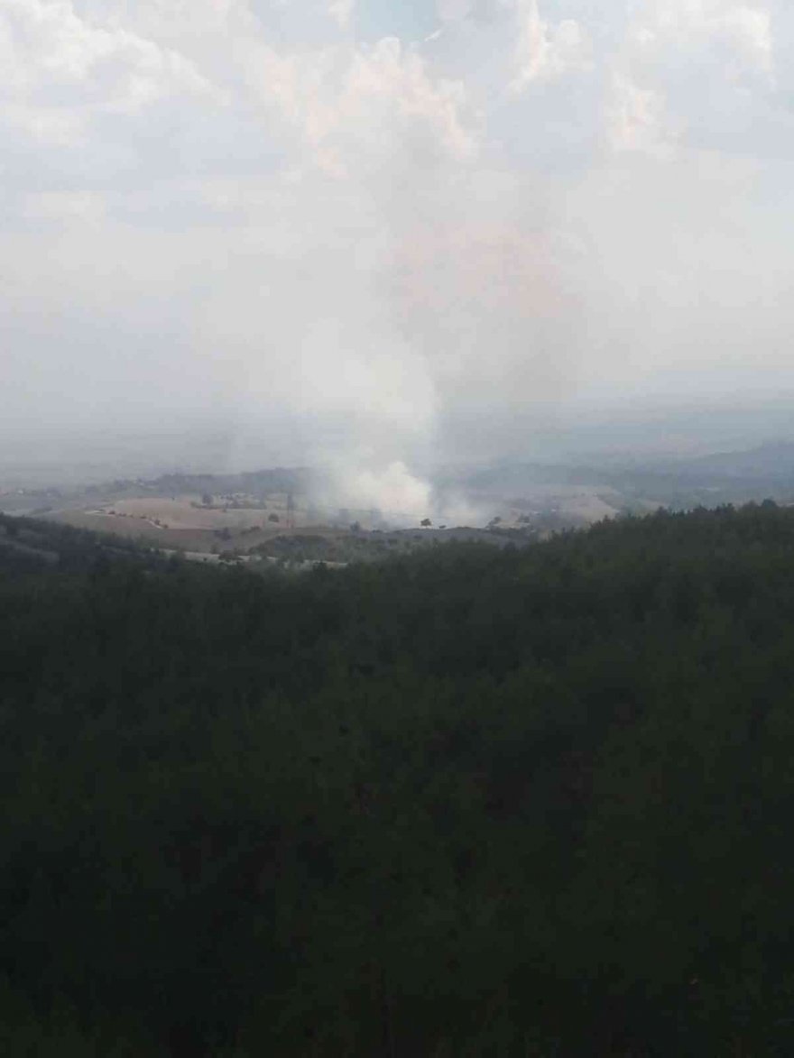 Orman yangını büyümeden söndürüldü