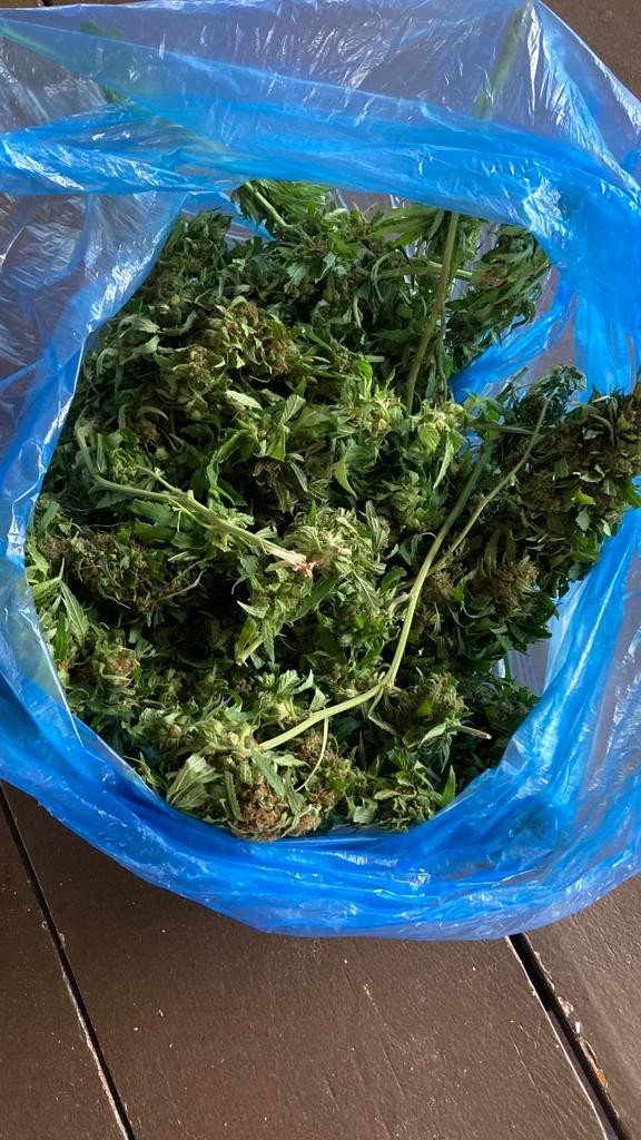 Kökünü Kurutma Operasyonu’nda 132 torbacı tutuklandı