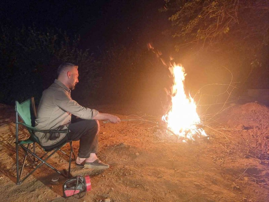 Limon bahçesinde gece gündüz hırsızlık nöbeti