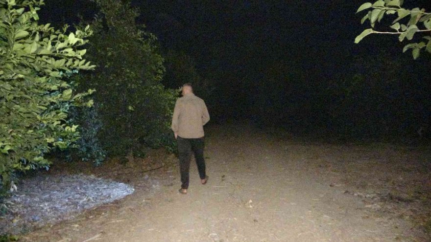 Limon bahçesinde gece gündüz hırsızlık nöbeti